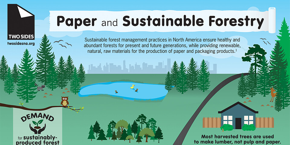 term paper topics for sustainability