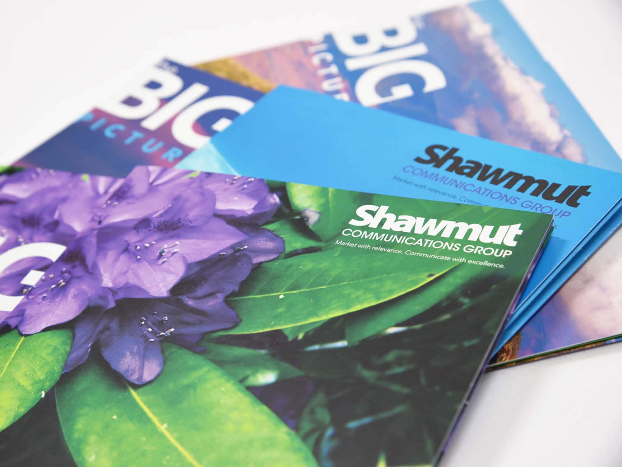 shawmut big picture mailers