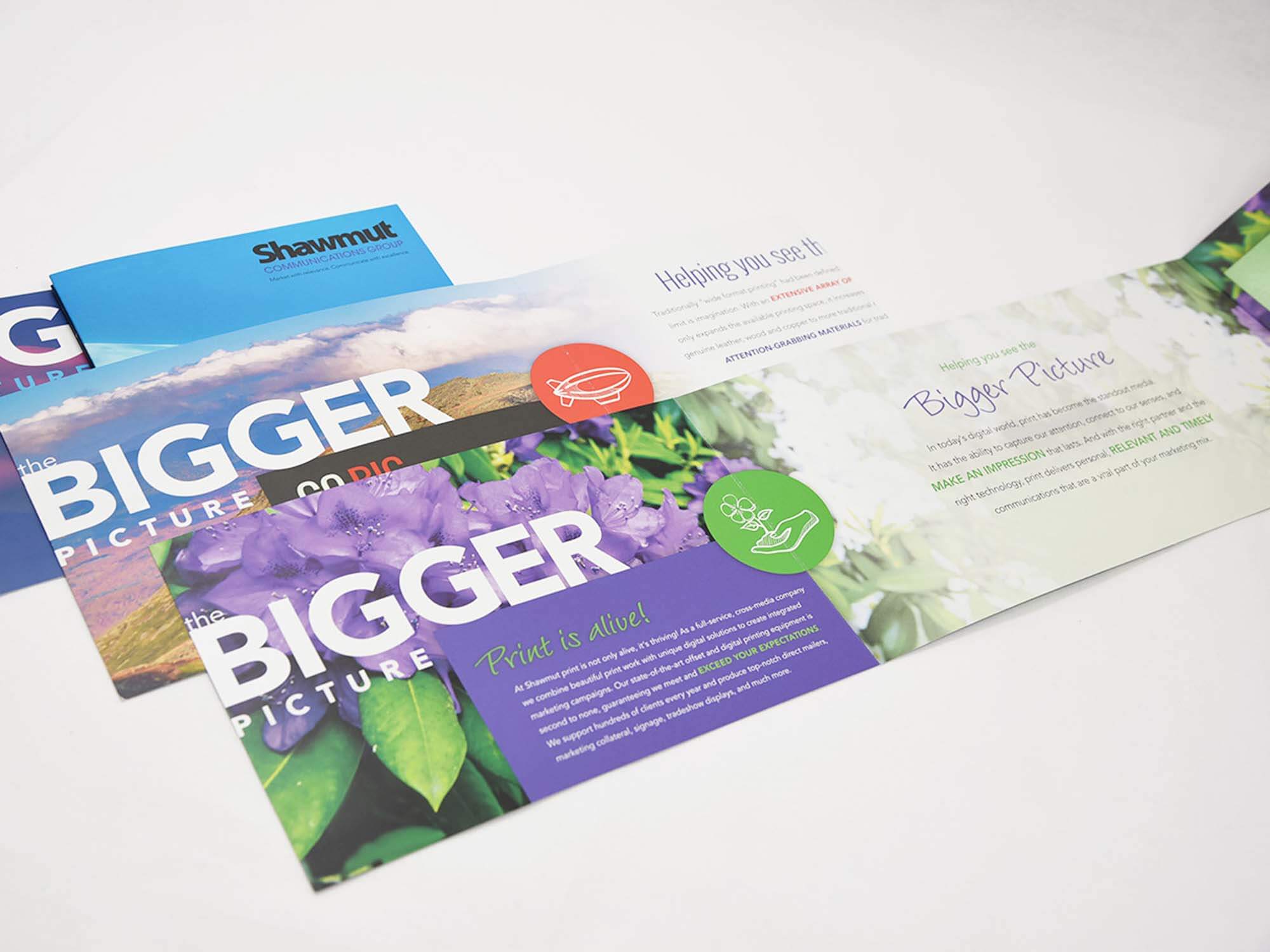 big picture mailers