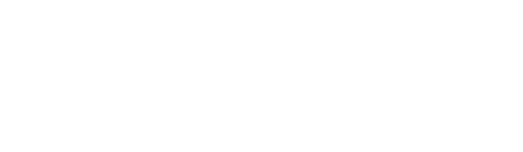 Shawmut Logo